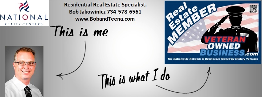 Novi Michigan Real Estate Agent Banner